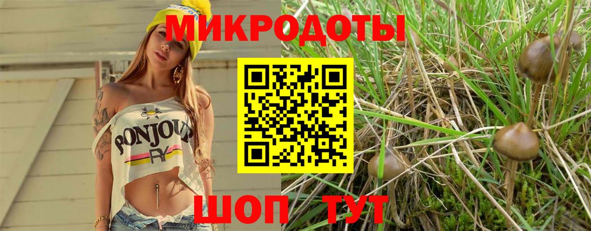 Галлюциногенные грибы прущие грибы  Вход с VPN  Семилуки 