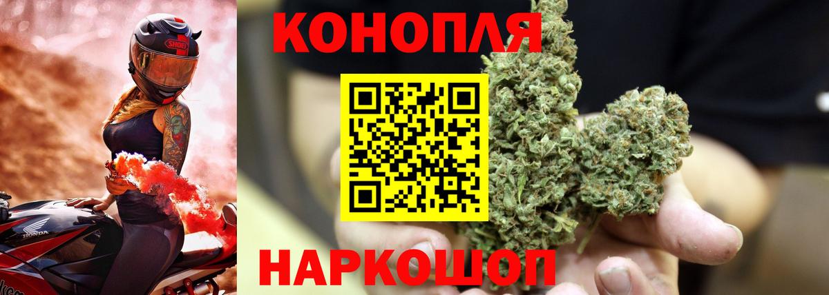 Конопля индика Семилуки